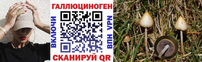 Галлюциногенные грибы ЛСД  Заозёрный 